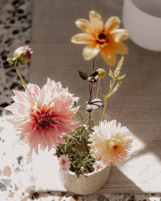 𝑴𝒊𝒕 𝒅𝒆𝒎 𝑩𝒍𝒖𝒎𝒆𝒏 𝒅𝒂𝒔 𝒈𝒆𝒘𝒊𝒔𝒔𝒆 𝑬𝒙𝒕𝒓𝒂 𝒔𝒄𝒉𝒂𝒇𝒇𝒆𝒏 💐

Ein luftig, duftiges Gesteck für deine Feier 🥂 , für deine Zeremonie oder einfach nur dich und deinen Esstisch 🌷

Wir gestalten individuelle Komposition mit unseren biologisch und mit Liebe gewachsenen Blumen 🤍

📸 by wonderful @elisaertlfotografie 😘